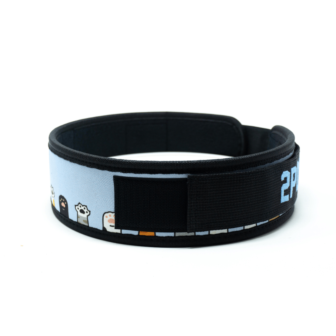 3" Petite I'm Feline Good Weightlifting Belt kaufen - 2POOD 3 Inch Belt - Fitness Onlineshop