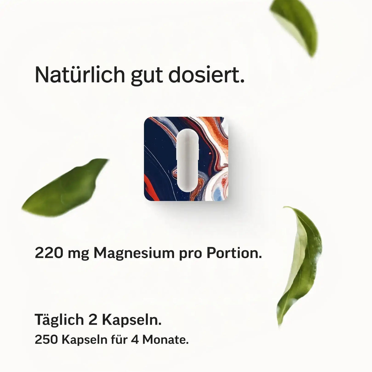 Magnesium-Kapseln kaufen - edubily Magnesium (Mineralstoff) - Fitness Onlineshop