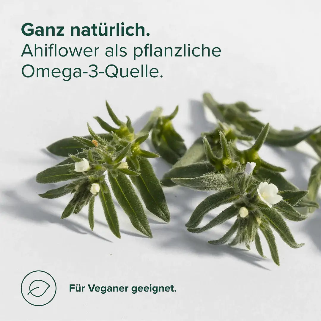 Veganes Omega-3 Öl kaufen - edubily Omega 3 - Fitness Onlineshop