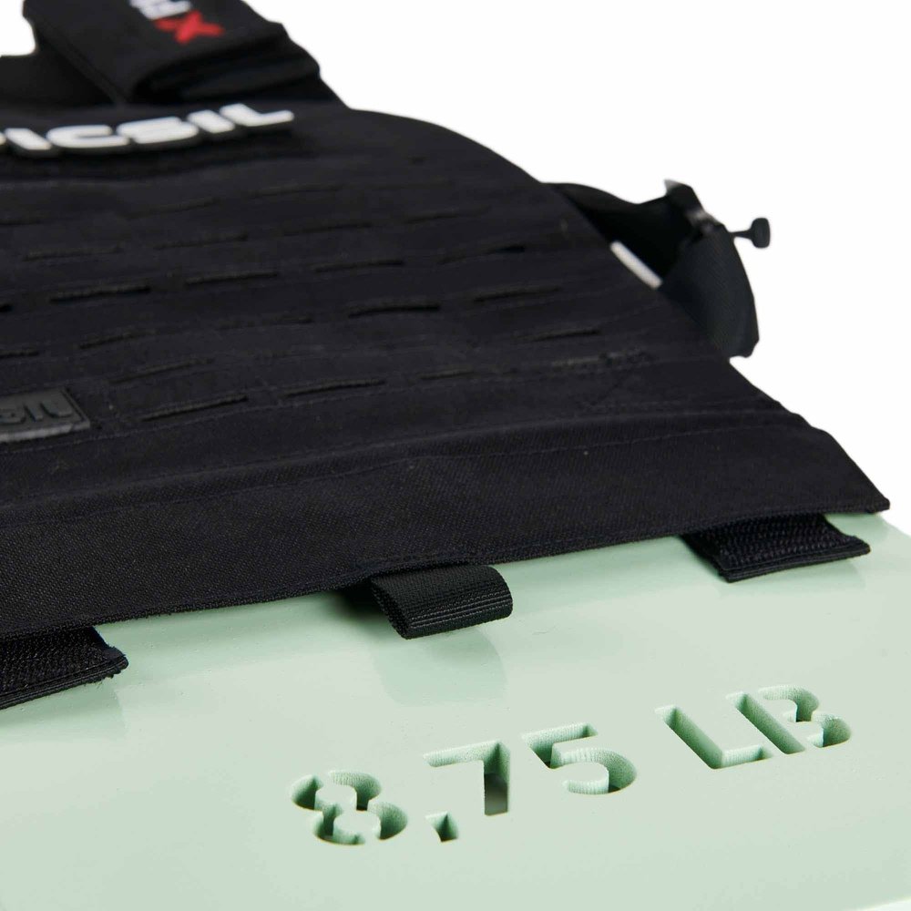 PicSil Gewichtsplatten-Set Männer (2 Stück) kaufen bei HighPowered.ch