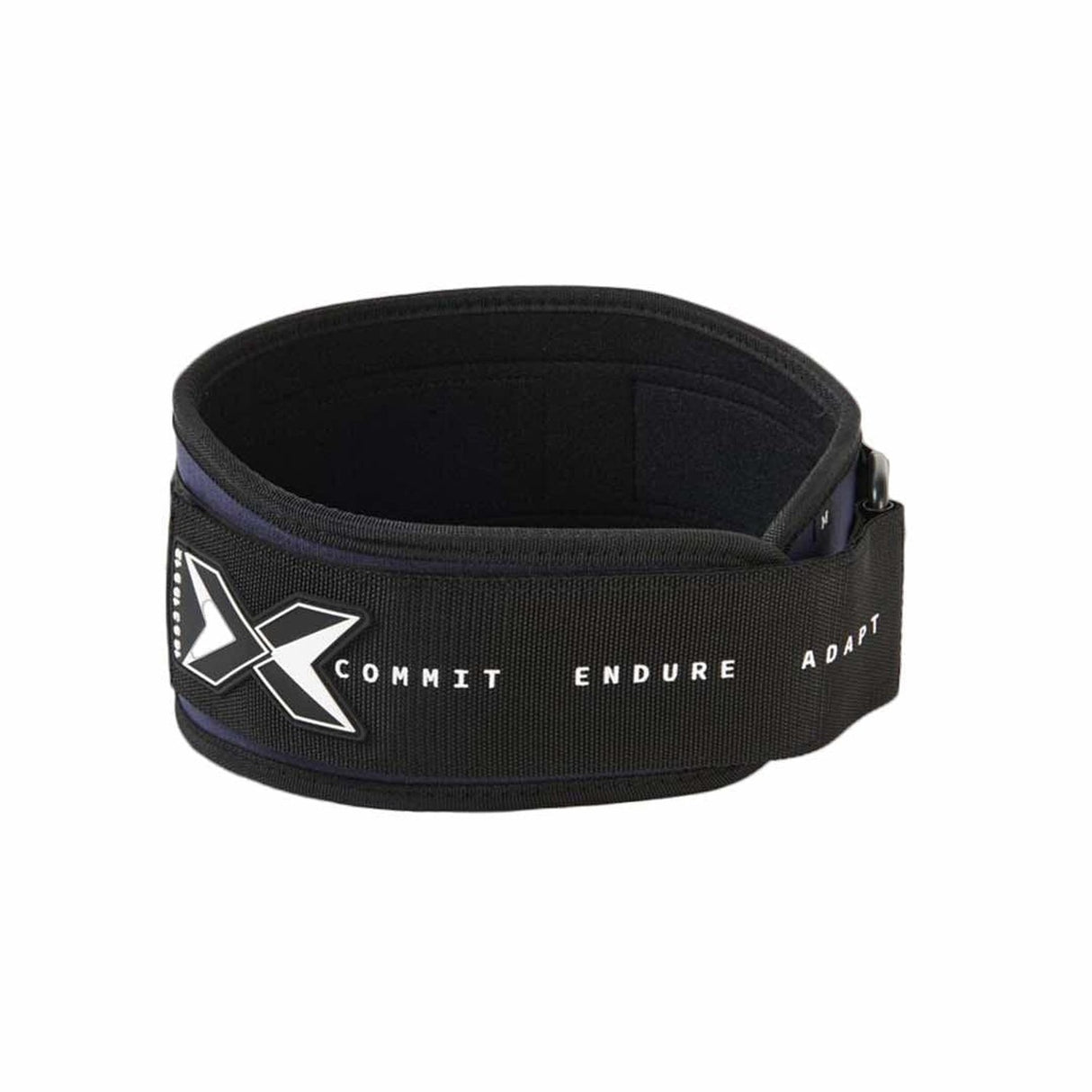 Achetez la ceinture d'haltérophilie PicSil bleue sur HighPowered.ch