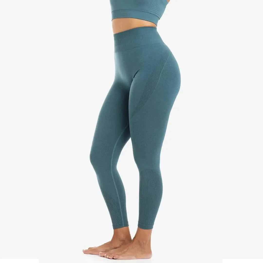 Seamless Damen Leggings (Sculpt) kaufen - PicSil Unterteile Damen - Fitness Onlineshop