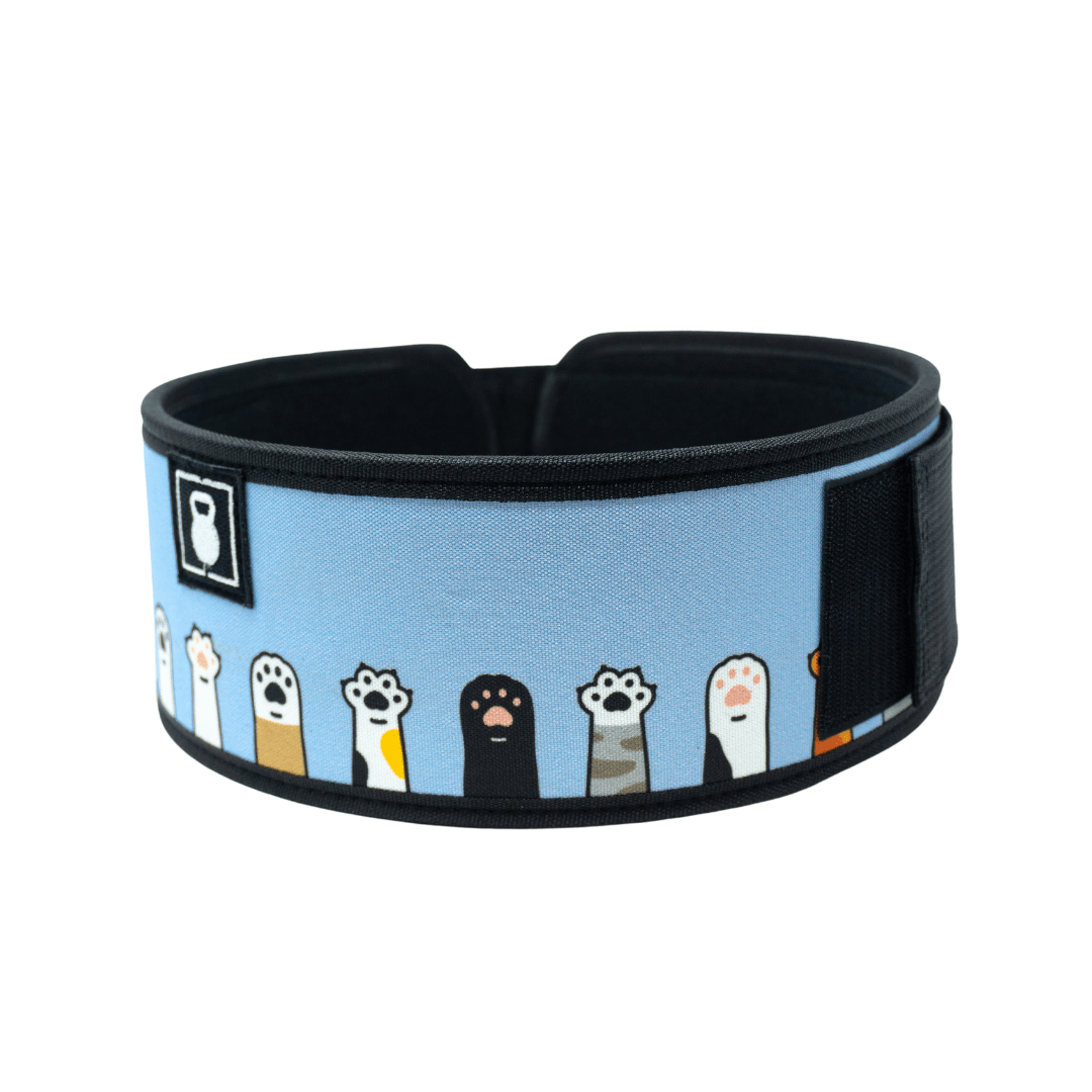 I'm Feline Good 4" Weightlifting Belt kaufen - RK Industries Official Lifting Belts of USAW - Fitness Onlineshop