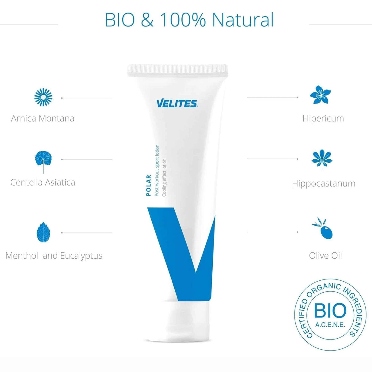 Velites Polar Cream (kühlende Sportcreme) kaufen bei HighPowered.ch