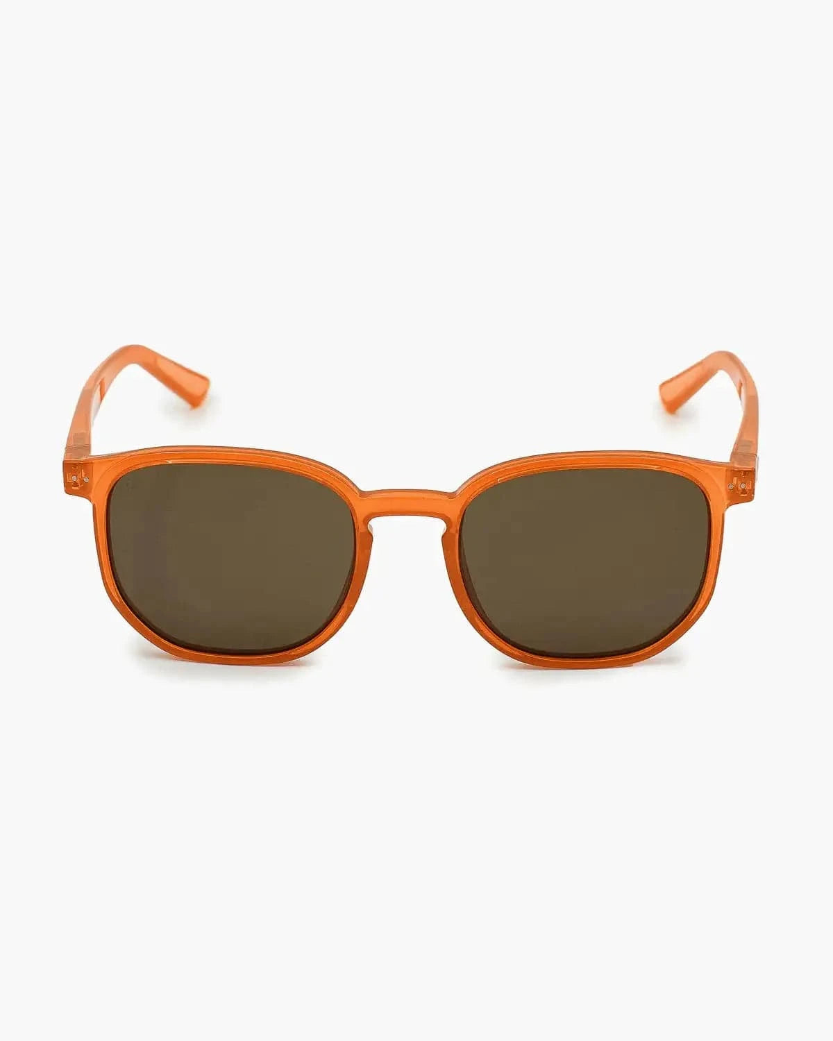 Sonnenbrille Horizon kaufen - Velites Sonnenbrillen - Fitness Onlineshop