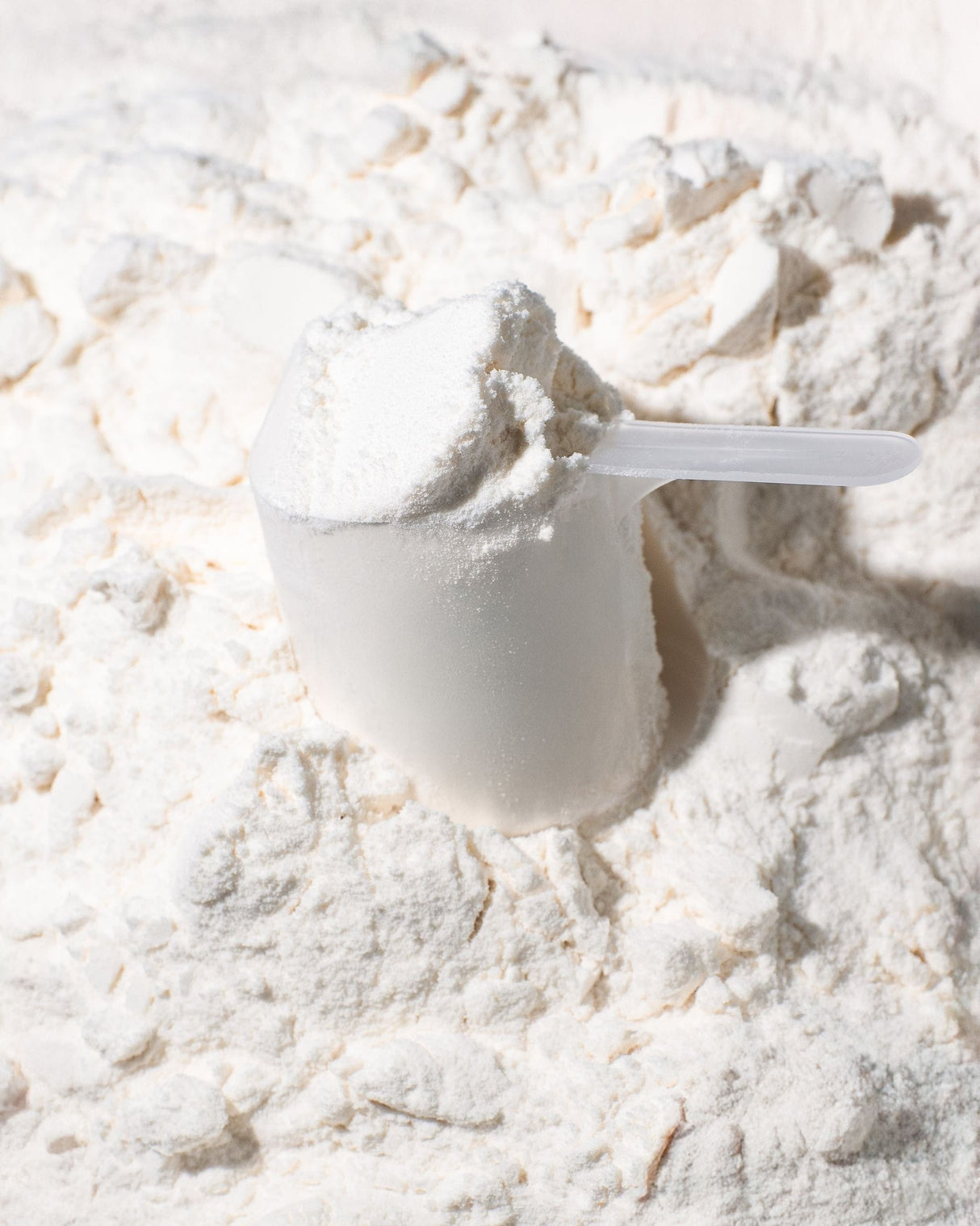 Micellar Casein Protein kaufen - Vilgain Casein Proteinpulver - Fitness Onlineshop