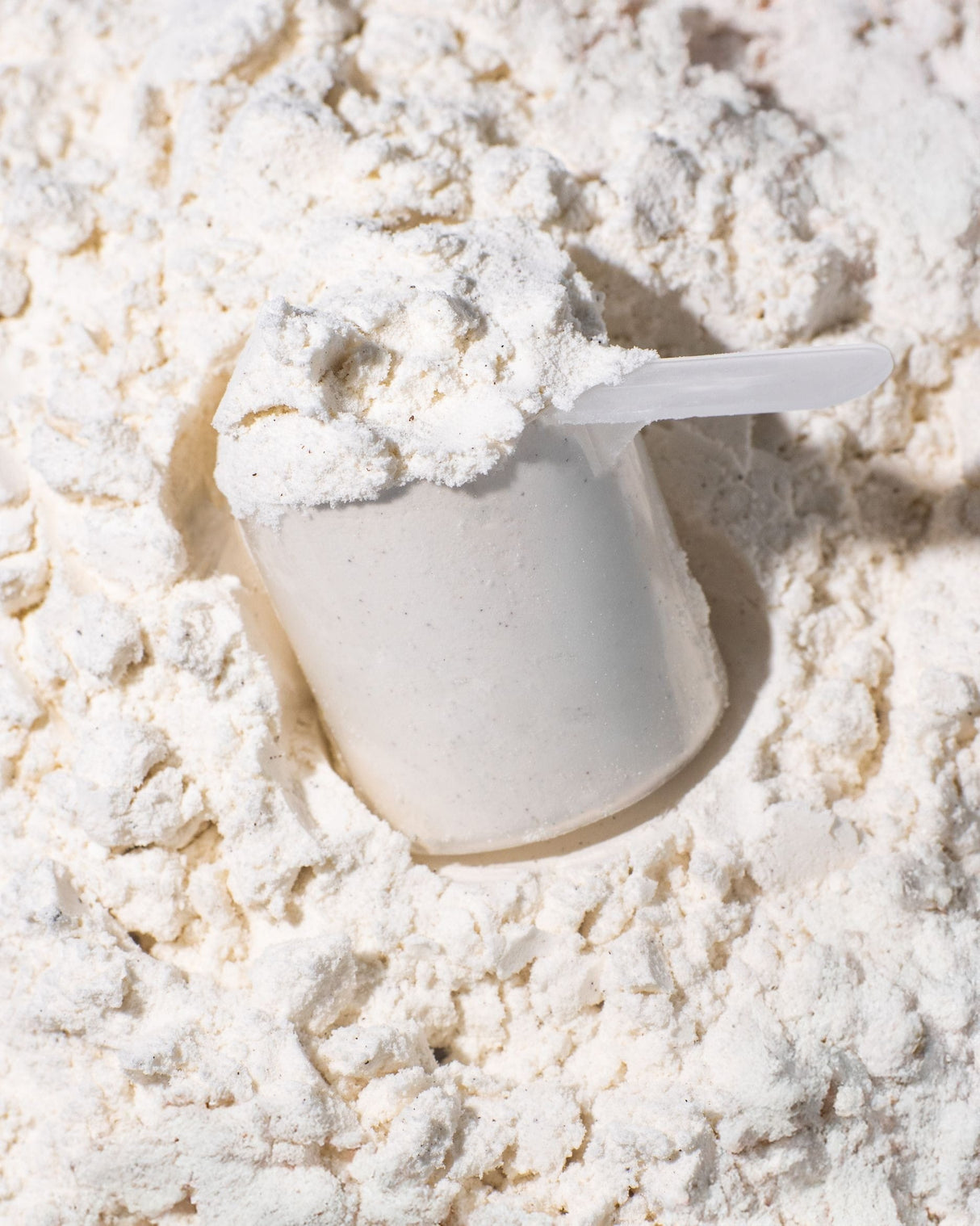 Micellar Casein Protein kaufen - Vilgain Casein Proteinpulver - Fitness Onlineshop