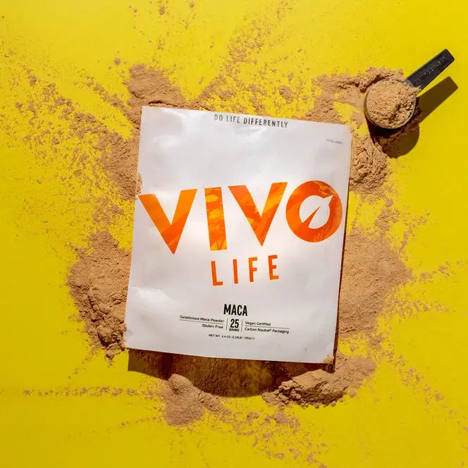 Maca Pulver (gelatinisiert) 125 g kaufen - Vivo Life Adaptogene - Fitness Onlineshop