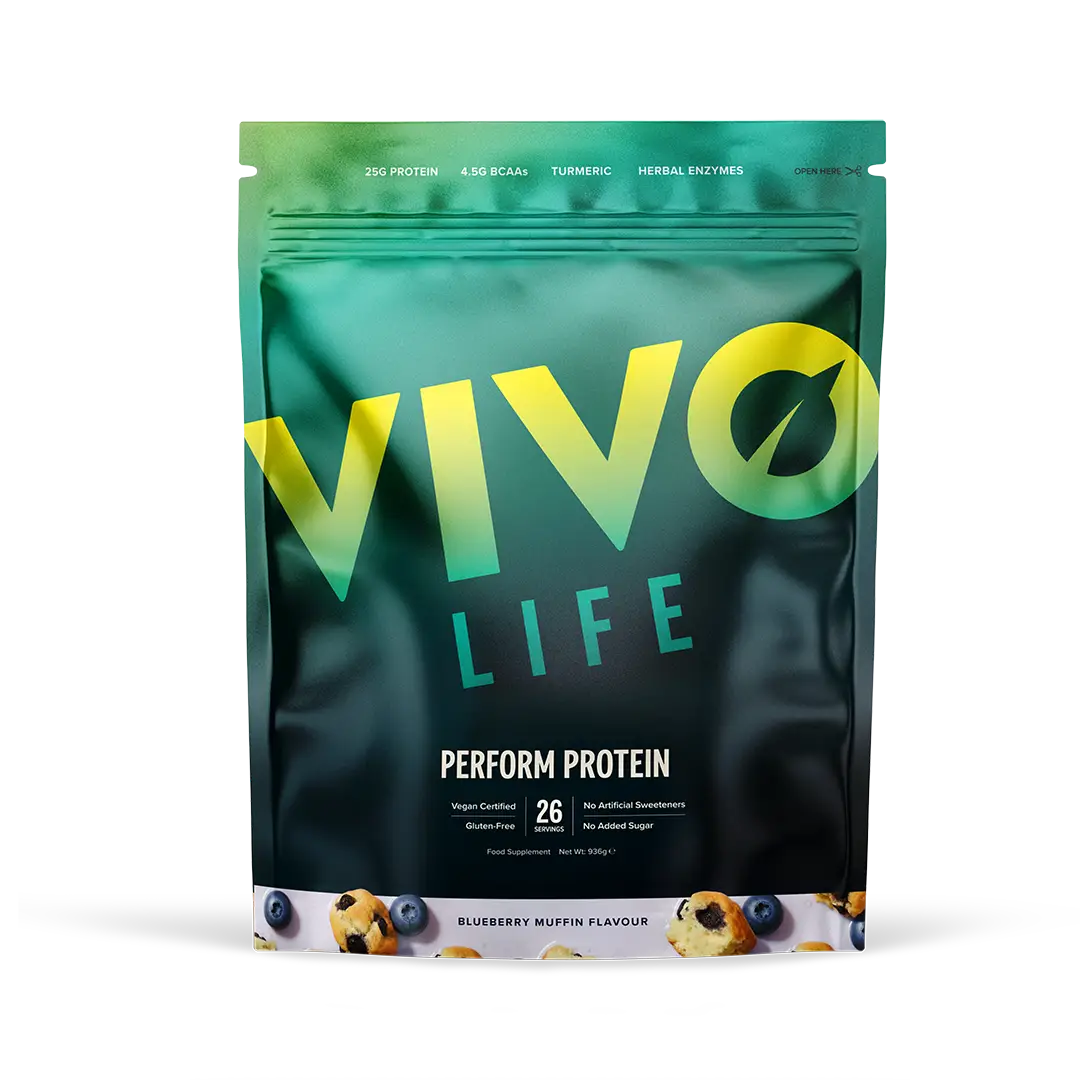 Perform Protein Blueberry Muffin / 26 Portionen kaufen - Vivo Life Vegane Proteinpulver - Fitness Onlineshop