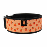 2POOD 2POOD Peach, Please: acquista la cintura da sollevamento pesi su HighPowered.ch