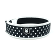 2POOD Petite Polka Dot Gewichthebergürtel (extra-schmal) kaufen -  2POOD Gewichthebergürtel  - Fitness Onlineshop