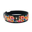 3" Petite Dazed & Confused Weightlifting Belt kaufen -  2POOD 3 Inch Belt  - Fitness Onlineshop