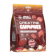 Applied Nutrition Creatine Gummies (80 Gummies) Cola Blast kaufen -  Applied Nutrition Kreatin  - Fitness Onlineshop