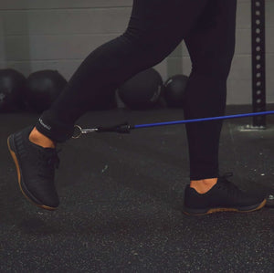 Bear KompleX Resistance Band Set 11-teilig (bis 34 kg Widerstand) kaufen bei HighPowered.ch