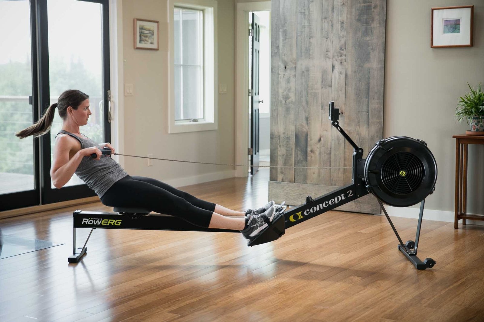 Concept2 Concept2 RowErg Modell D (Standard) kaufen bei HighPowered.ch