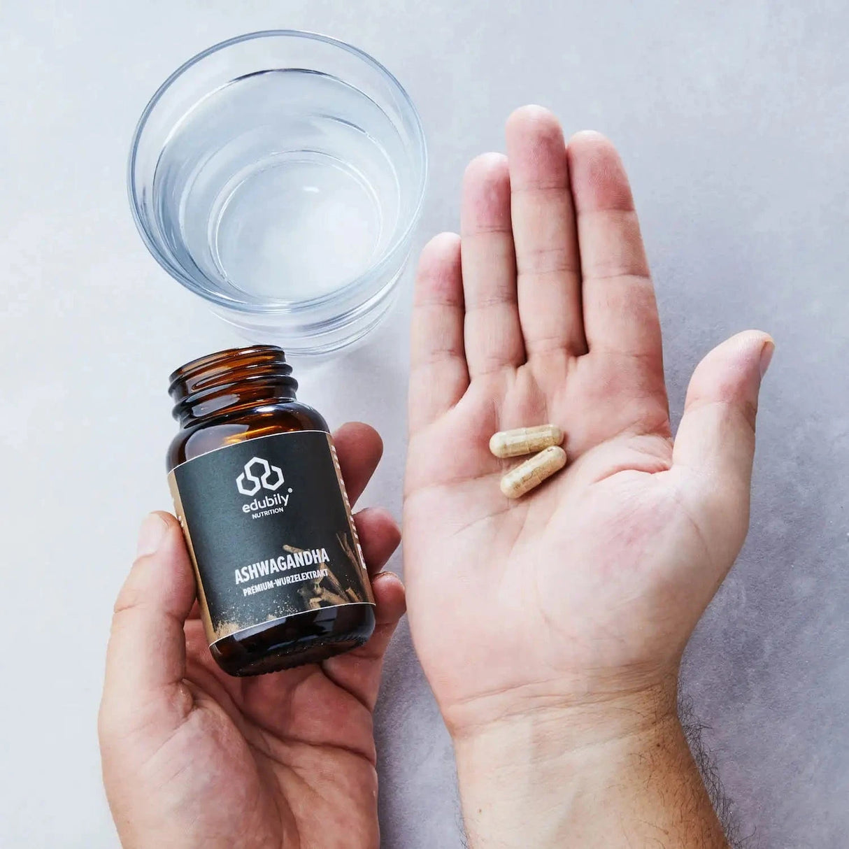 Ashwaghanda Extrakt (60 Kapseln, 36 gramm) kaufen -  edubily Extrakte  - Fitness Onlineshop