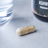 Ashwaghanda Extrakt (60 Kapseln, 36 gramm) kaufen -  edubily Extrakte  - Fitness Onlineshop