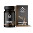 Ashwaghanda Extrakt (60 Kapseln, 36 gramm) kaufen -  edubily Extrakte  - Fitness Onlineshop