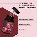 Granatapfel-Extrakt PRO kaufen -  edubily Extrakte  - Fitness Onlineshop