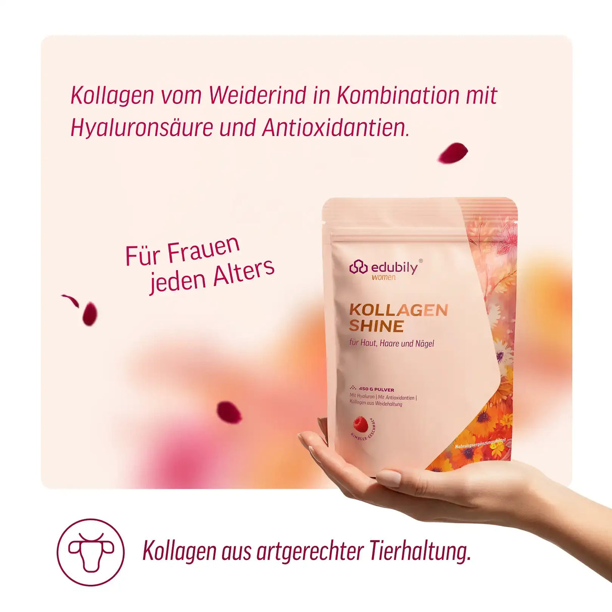 Kollagen Shine kaufen -  edubily Kollagen  - Fitness Onlineshop