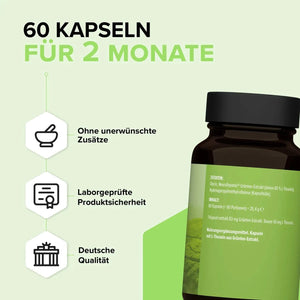 L-Theanin kaufen -  edubily Nootropika  - Fitness Onlineshop