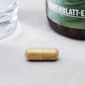 Olivenblatt Extrakt kaufen -  edubily Extrakte  - Fitness Onlineshop