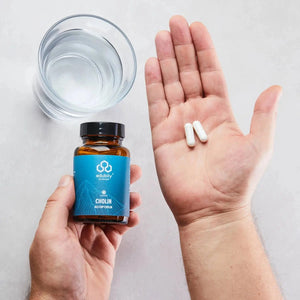 PURE Cholin Kapseln – als CDP-Cholin kaufen -  edubily Nootropika  - Fitness Onlineshop