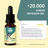 Vitasauri® Kids Vitamin D3 mit K2 kaufen -  edubily Vitamine  - Fitness Onlineshop
