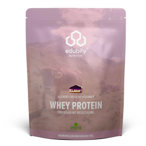 Whey Protein Konzentrat Blueberry Cheesecake kaufen -  edubily Whey Proteinpulver  - Fitness Onlineshop