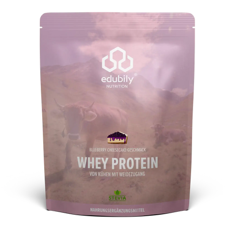 Whey Protein Konzentrat Blueberry Cheesecake kaufen -  edubily Whey Proteinpulver  - Fitness Onlineshop