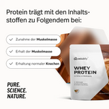 Whey Protein Konzentrat kaufen -  edubily Whey Proteinpulver  - Fitness Onlineshop