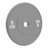 Bumper Plates (Olympic) 5kg kaufen -  HighPowered Bumper Plates  - Fitness Onlineshop