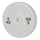 HighPowered Full-Size Technique Plate 5 kg kaufen bei HighPowered.ch