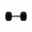 HighPowered Hexagon Dumbbell (Kurzhantel) 10 kg kaufen bei HighPowered.ch