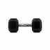 HighPowered Hexagon Dumbbell (Kurzhantel) 10 kg kaufen bei HighPowered.ch