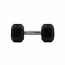 HighPowered Hexagon Dumbbell (Kurzhantel) 10 kg kaufen bei HighPowered.ch