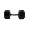 HighPowered Hexagon Dumbbell (Kurzhantel) 12.5 kg kaufen bei HighPowered.ch
