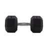 HighPowered Hexagon Dumbbell (Kurzhantel) 20 kg kaufen bei HighPowered.ch