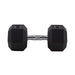 HighPowered Hexagon Dumbbell (Kurzhantel) 20 kg kaufen bei HighPowered.ch