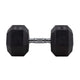 HighPowered Hexagon Dumbbell (Kurzhantel) 30 kg kaufen bei HighPowered.ch