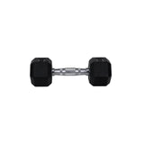HighPowered Hexagon Dumbbell (Kurzhantel) 4 kg kaufen bei HighPowered.ch