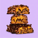 Misfits Vegan Protein Bar kaufen -  Misfits Vegane Proteinriegel  - Fitness Onlineshop