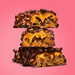 Misfits Vegan Protein Bar kaufen -  Misfits Vegane Proteinriegel  - Fitness Onlineshop