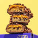 Misfits Vegan Protein Bar kaufen -  Misfits Vegane Proteinriegel  - Fitness Onlineshop