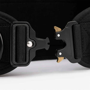 PicSil Dip Belt mit Kette kaufen bei HighPowered.ch