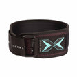 Buy the PicSil PicSil Competition Weightlifting Belt in Bordeaux at HighPowered.ch