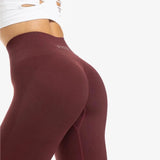 Acheter des leggings sans coutures pour femmes (Bodyfit) -  Bas PicSil pour femmes  - Boutique en ligne de fitness