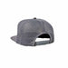 PicSil Skyline Cap Grau kaufen bei HighPowered.ch