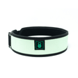 3" Petite Pistachio Weightlifting Belt kaufen -  RK Industries 3 Inch Belt  - Fitness Onlineshop