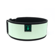 Pistachio 4" Weightlifting Belt kaufen -  RK Industries Official Lifting Belts of USAW  - Fitness Onlineshop
